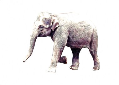 Fil sanatı illüstrasyonu eski moda.