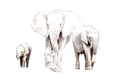 Fil sanatı illüstrasyonu eski moda.