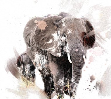 Fil sanatı illüstrasyonu eski moda.