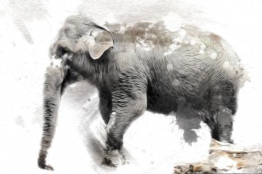 Fil sanatı illüstrasyonu eski moda.