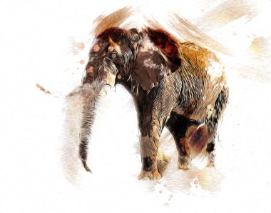 Fil sanatı illüstrasyonu eski moda.