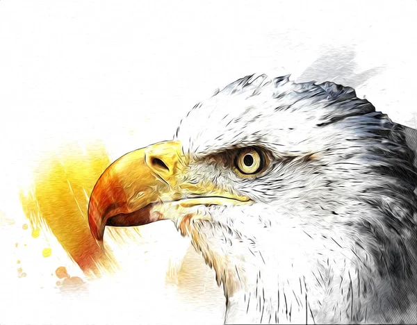 Bald Eagle Swoop Lądowania Strony Rysunku Farby Białym Tle Ilustracji — Zdjęcie stockowe