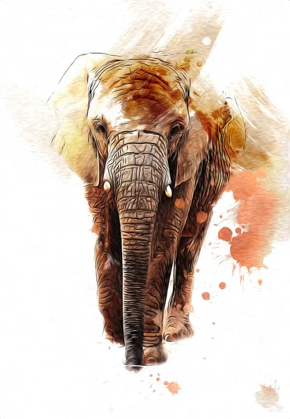 Elefante Arte Illustrazione Retrò Vintage Vecchio — Foto Stock