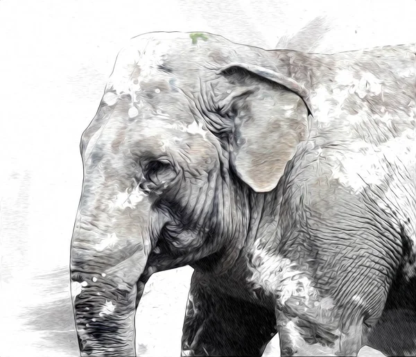 Elefante Arte Ilustração Retro Vintage Velho — Fotografia de Stock