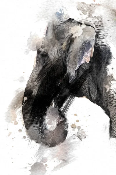 Elefante Arte Illustrazione Retrò Vintage Vecchio — Foto Stock