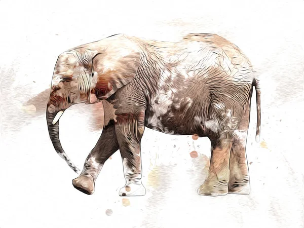 Elefante Arte Ilustración Retro Vintage Viejo — Foto de Stock