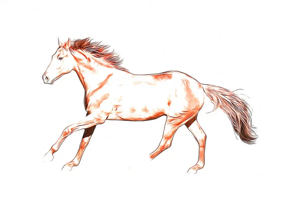 Colorido Caballo Arte Ilustración Grunge Pintura —  Fotos de Stock