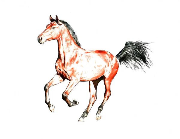 Farverige Hest Kunst Illustration Grunge Maleri - Stock-foto