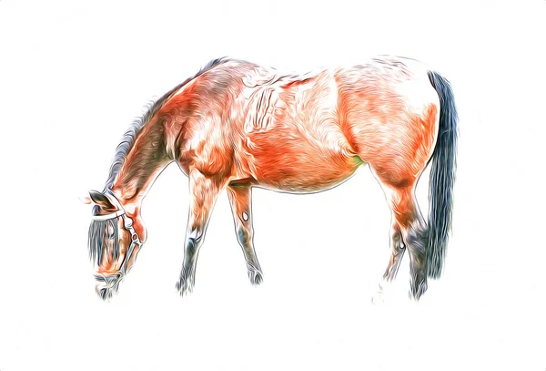 Colorido Caballo Arte Ilustración Grunge Pintura —  Fotos de Stock