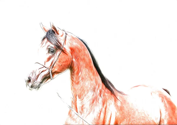 Colorido Caballo Arte Ilustración Grunge Pintura —  Fotos de Stock