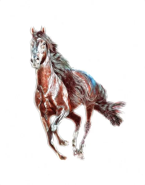 Illustration Art Cheval Coloré Peinture Grunge — Photo