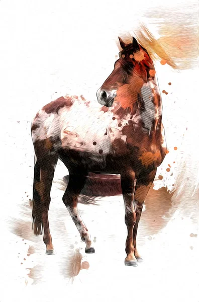 Farverige Hest Kunst Illustration Grunge Maleri - Stock-foto