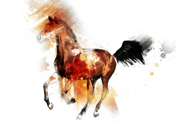 Pittura Grunge Colorata Illustrazione Arte Cavallo — Foto Stock