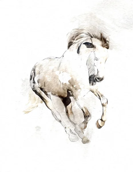 Colorido Caballo Arte Ilustración Grunge Pintura —  Fotos de Stock