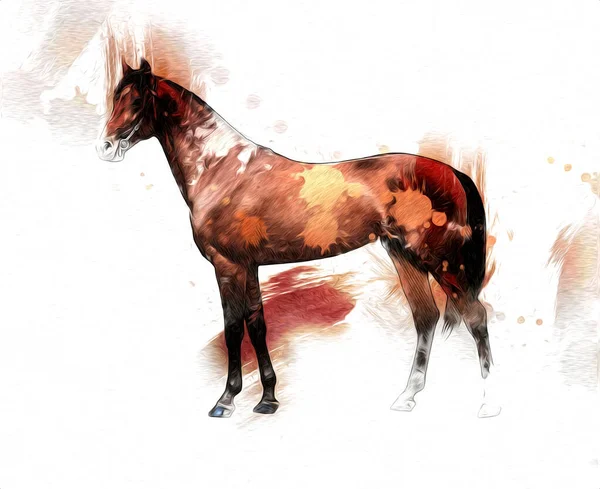 Pittura Grunge Colorata Illustrazione Arte Cavallo — Foto Stock