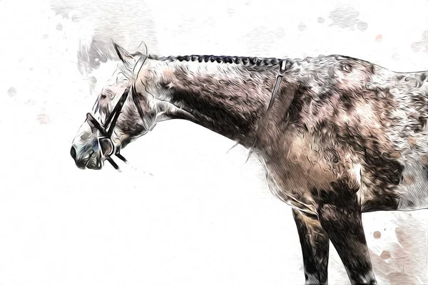 Barevný Kůň Umění Ilustrace Grunge Malba — Stock fotografie
