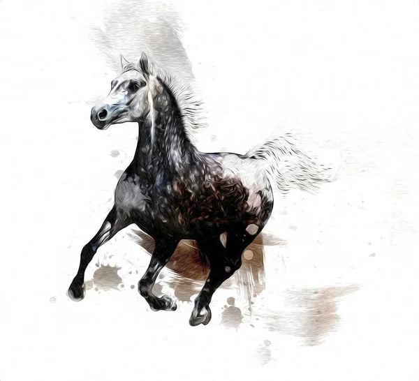 Colorido Caballo Arte Ilustración Grunge Pintura —  Fotos de Stock