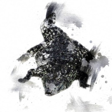 Timsah çizimi - sürüngen el çizimi, sanat çizimi