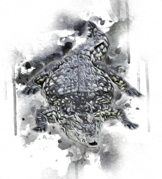 Zeichnung Des Krokodils Handskizze Des Reptils Kunstillustration — Stockfoto