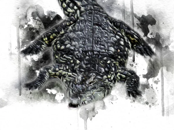 Dibujo Cocodrilo Boceto Mano Reptil Ilustración Arte —  Fotos de Stock