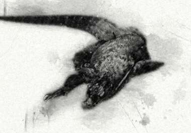 Kertenkele ejder sanatı klasik çizim