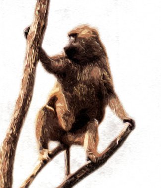 Ağaçların renkli çizimlerinde gerçekçi bir maymun.