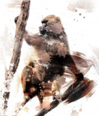 Ağaçların renkli çizimlerinde gerçekçi bir maymun.