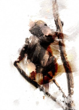 Ağaçların renkli çizimlerinde gerçekçi bir maymun.