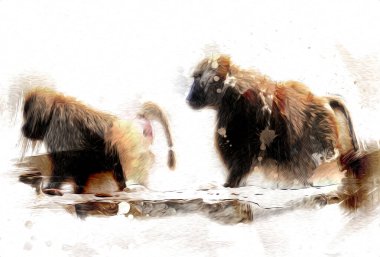 Ağaçların renkli çizimlerinde gerçekçi bir maymun.