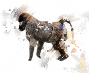 Ağaçların renkli çizimlerinde gerçekçi bir maymun.