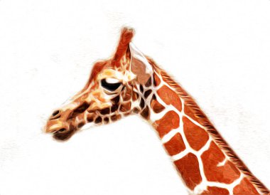 Zürafanın resim çizimi