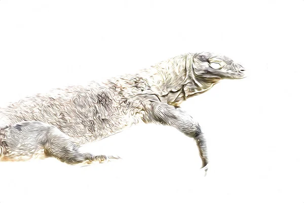 도마뱀 도마뱀 빈티지 — 스톡 사진
