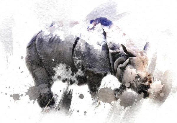 Rhinocéros Animal Savane Africaine Style Dessin Animé Illustration Zoologique Pédagogique — Photo