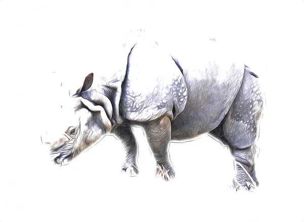 Rinoceronte Animal Sabana Africana Estilo Dibujos Animados Ilustración Zoología Educativa — Foto de Stock
