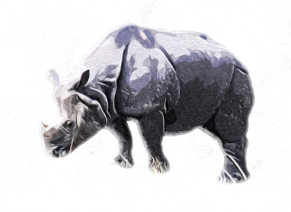 African Savannah Animal Rhinoceros Cartoon Style Educational Zoology Illustration — Stock Photo, Image