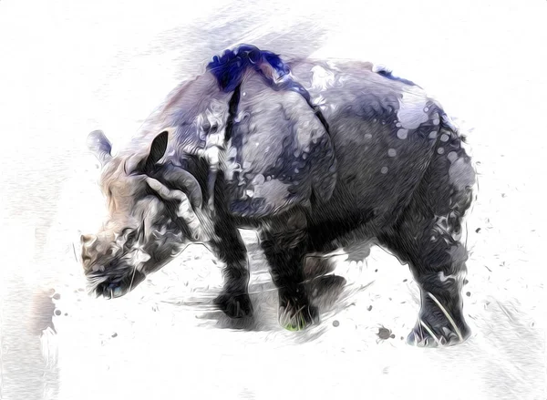 아프리카 사바나 아프리카 사바나 코뿔소는 스타일이다 교육적 동물학의 — 스톡 사진