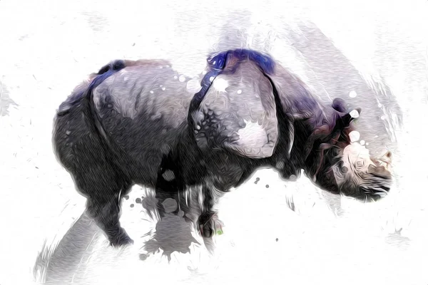 Rinoceronte Animal Sabana Africana Estilo Dibujos Animados Ilustración Zoología Educativa —  Fotos de Stock