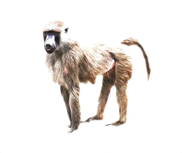 빈티지 그림을 그리는 현실적 원숭이 — 스톡 사진