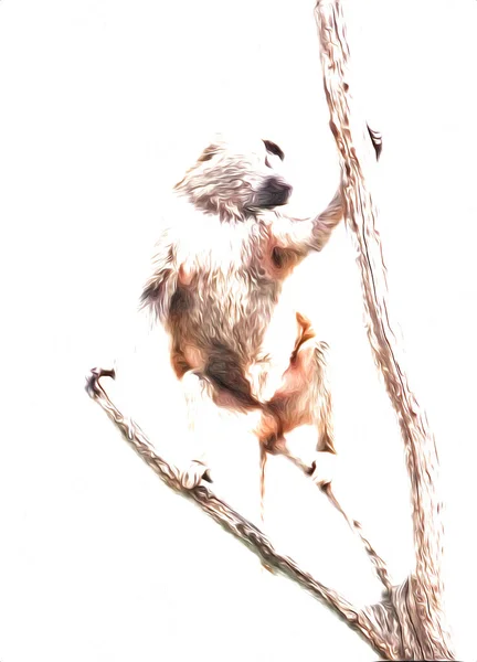 木の上の現実的な猿カラフルなイラスト ビンテージドローイング — ストック写真