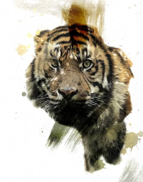 Tiger Art Illustration Farbe Vintage Grunge Retro — Stockfoto