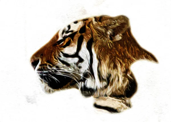 Tigre Arte Illustrazione Colore Vintage Grunge Retro — Foto Stock