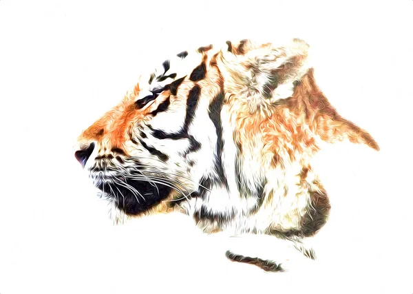 Tygrys Sztuka Ilustracja Kolor Vintage Grunge Retro — Zdjęcie stockowe