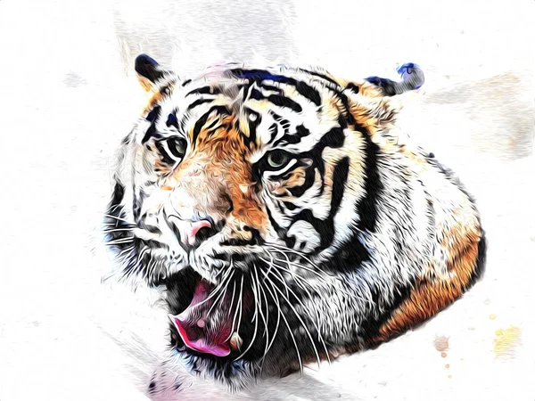 Tigre Arte Illustrazione Colore Vintage Grunge Retro — Foto Stock