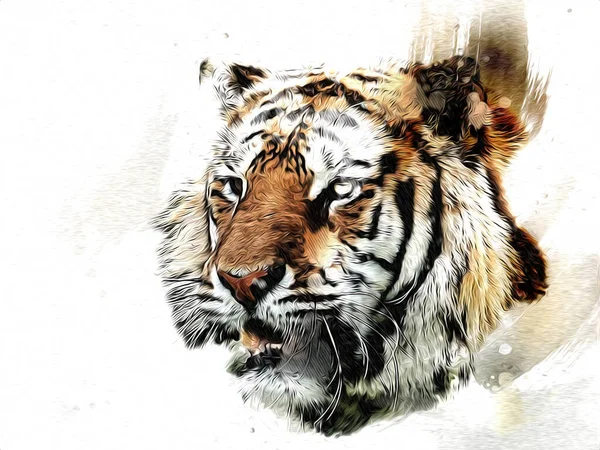 tiger art illustration color vintage grunge retro