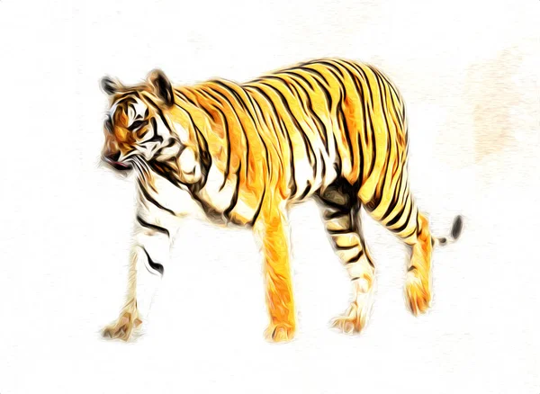 Τίγρης Τέχνη Εικονογράφηση Χρώμα Vintage Grunge Ρετρό — Φωτογραφία Αρχείου