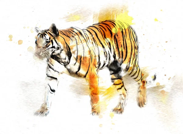 Tigre Art Illustration Couleur Vintage Grunge Rétro — Photo