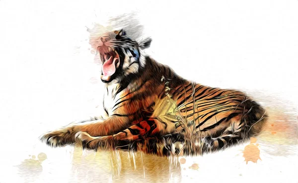 Tiger Art Illustration Farbe Vintage Grunge Retro — Stockfoto