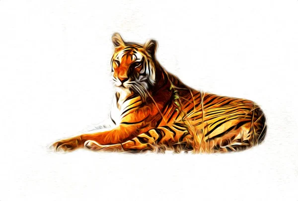 Tiger Art Illustration Farbe Vintage Grunge Retro — Stockfoto