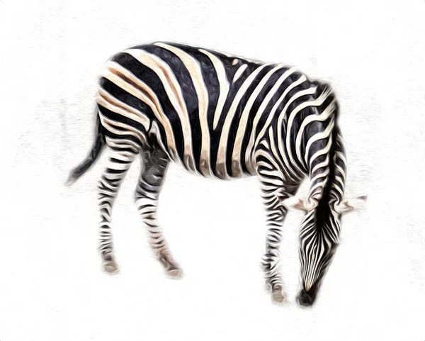 Drawing Zebra Sketch African Mammal Illustration — Stock Photo, Image