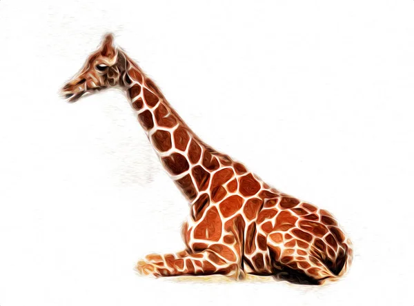 Tekening Tekening Illustratie Van Giraffe — Stockfoto